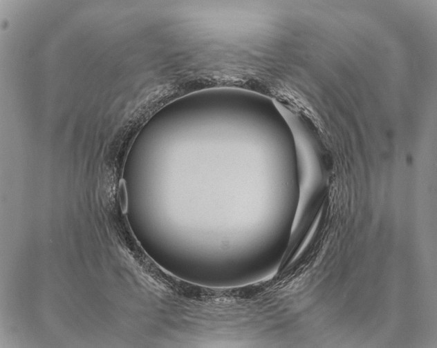 X0000087390593200704271624