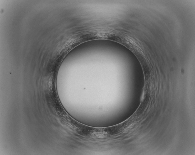 X0000087390595200704271624