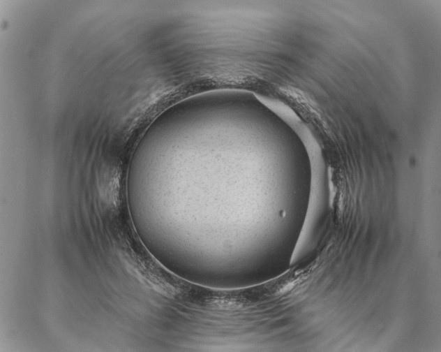 X0000087390596200704271624