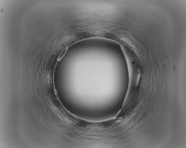 X0000087390597200704271624