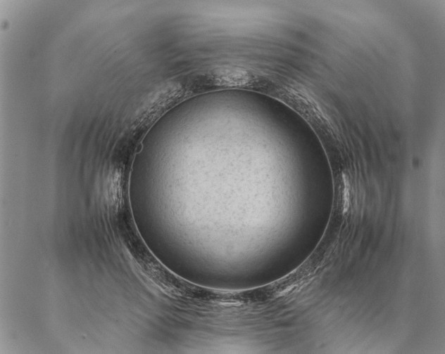 X0000087390598200704271624