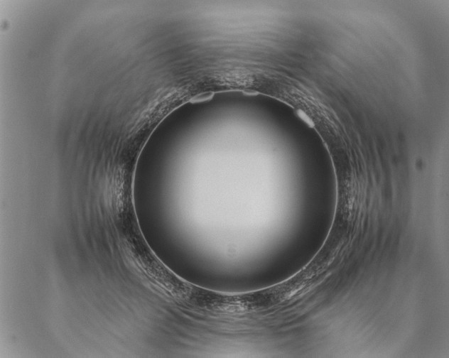 X0000087390600200704271624