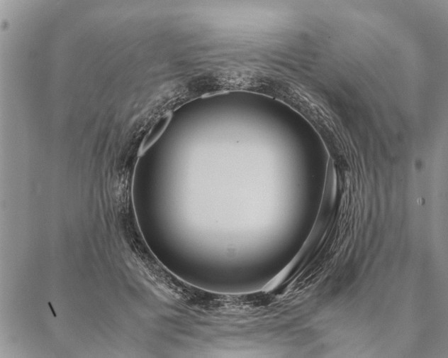 X0000087390601200704271624