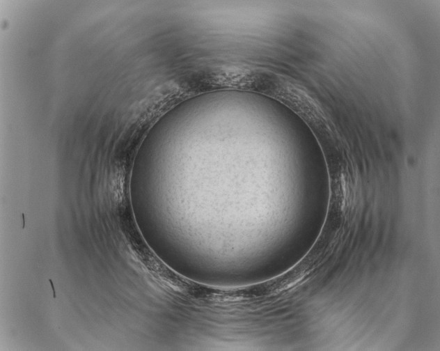 X0000087390602200704271624