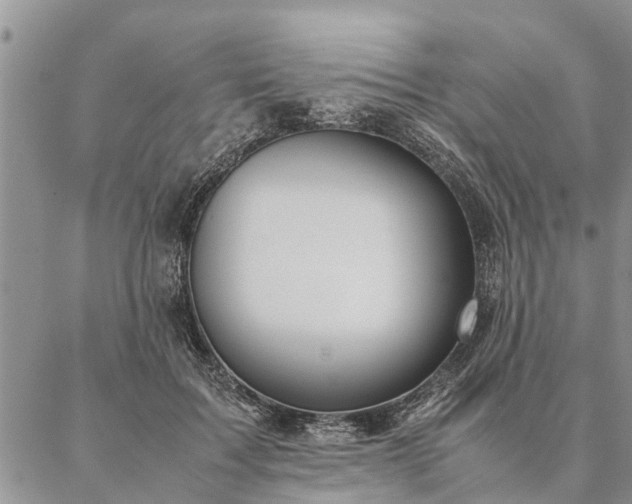 X0000087390603200704271624