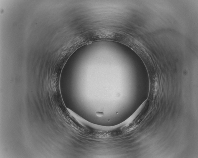 X0000087390604200704271624