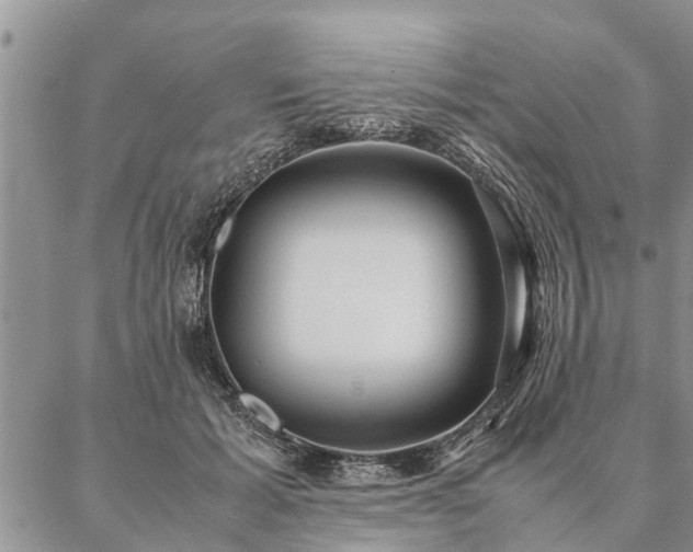 X0000087390605200704271624