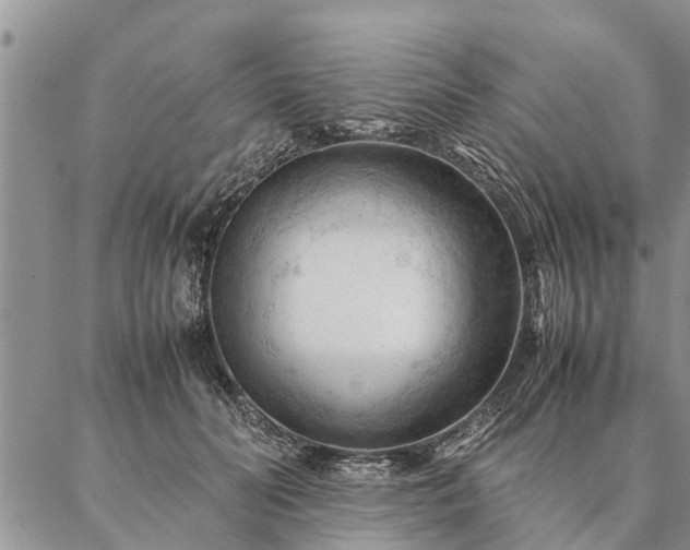 X0000087390606200704271624