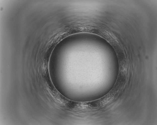 X0000087390607200704271624