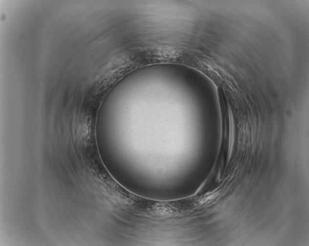 X0000087390608200704271624