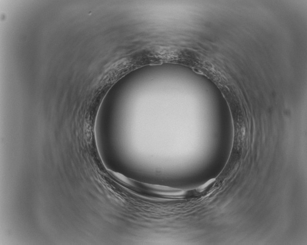 X0000087390609200704271624