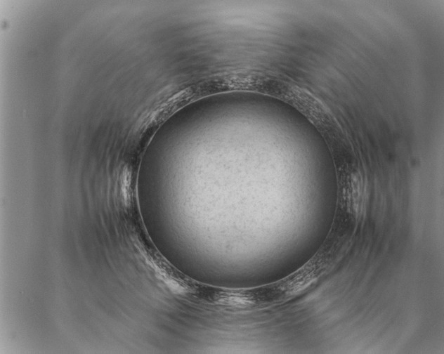 X0000087390610200704271624