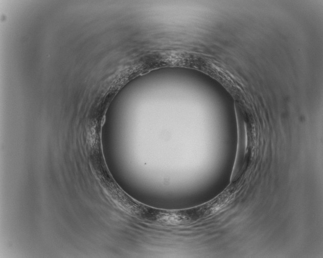 X0000087390611200704271624