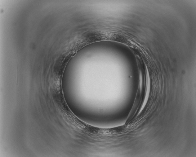 X0000087390613200704271624