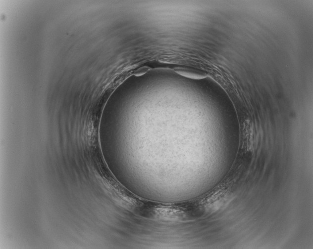 X0000087390614200704271624