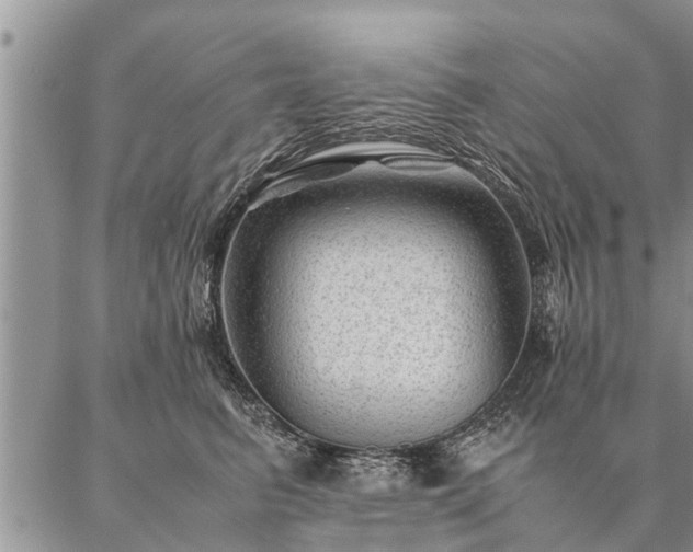 X0000087390615200704271624