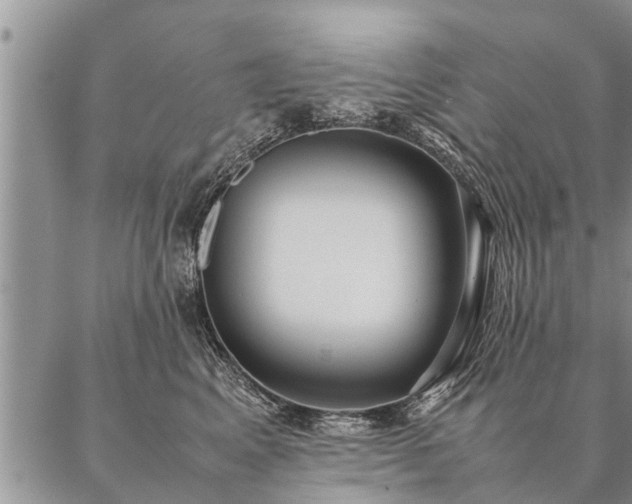 X0000087390617200704271624