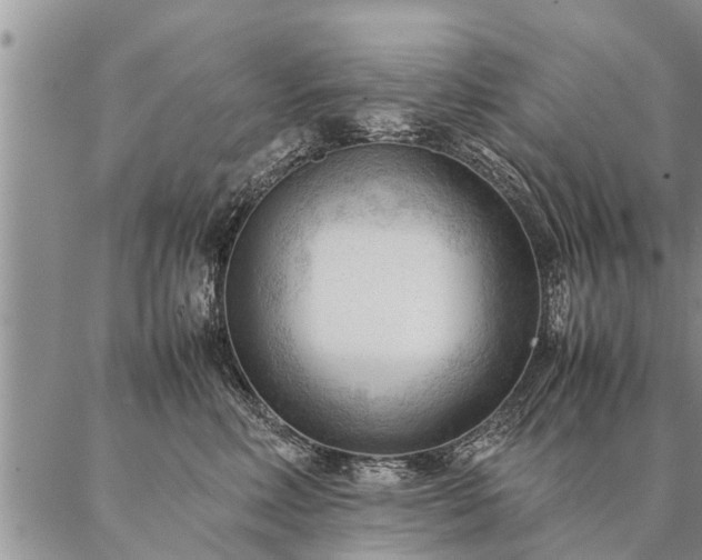 X0000087390618200704271624