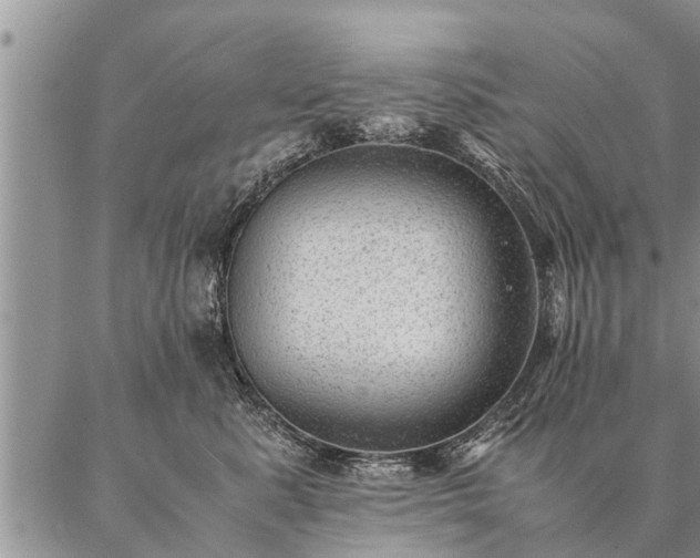 X0000087390619200704271624