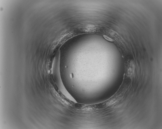 X0000087390620200704271624