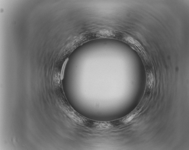 X0000087390621200704271624