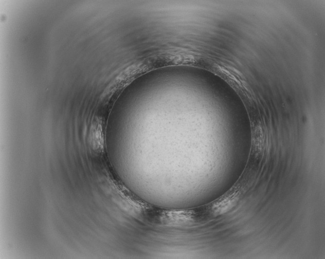 X0000087390622200704271624