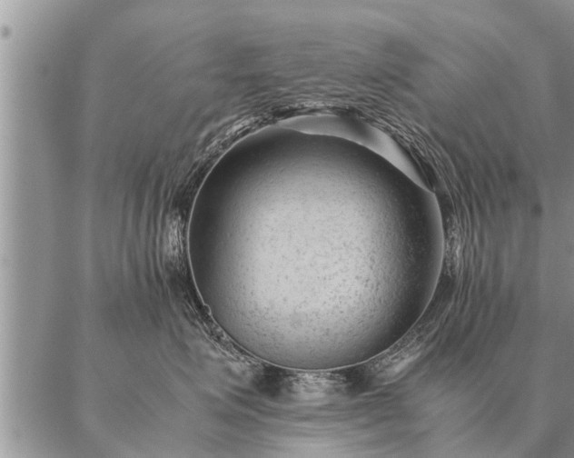 X0000087390623200704271624