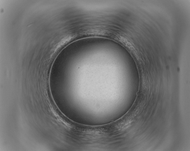 X0000087390625200704271623