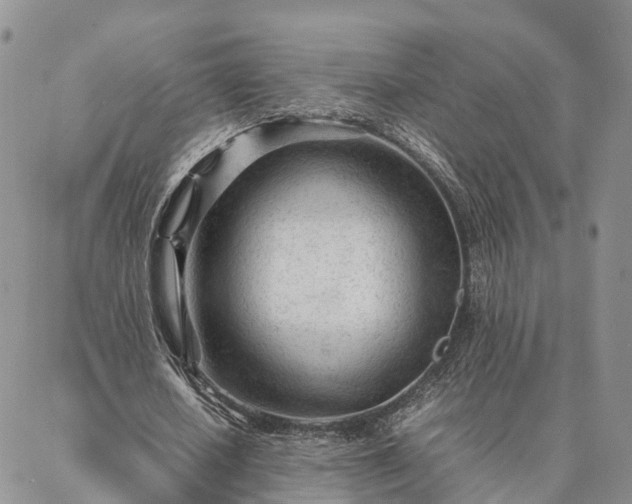 X0000087390626200704271623