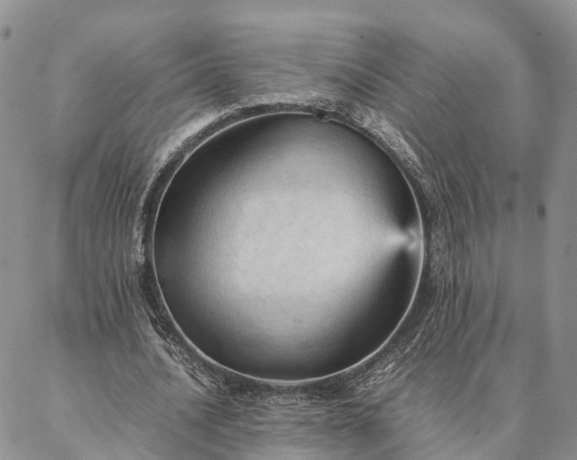 X0000087390628200704271623