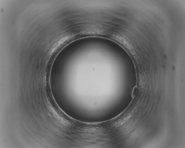 X0000087390629200704271623