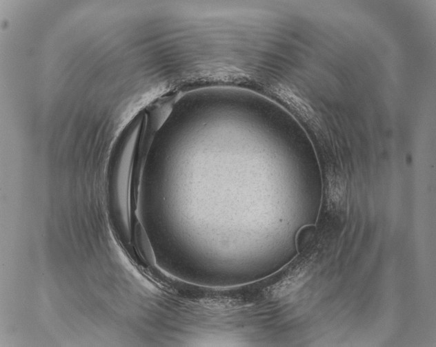 X0000087390630200704271623