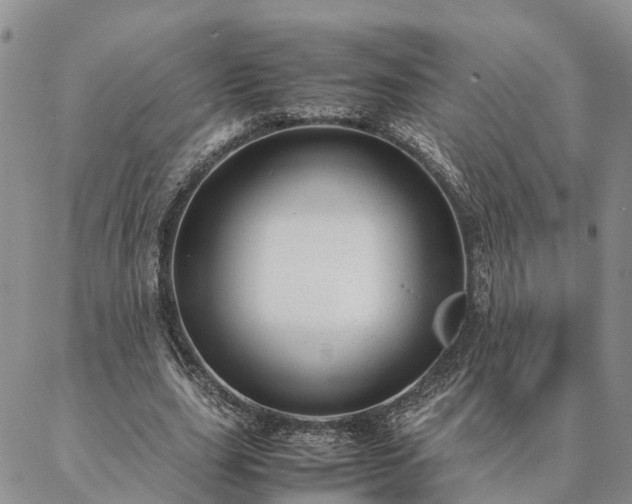 X0000087390631200704271623