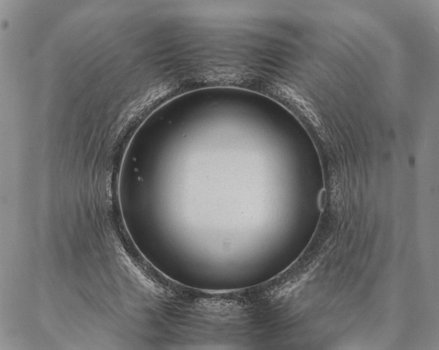 X0000087390633200704271623