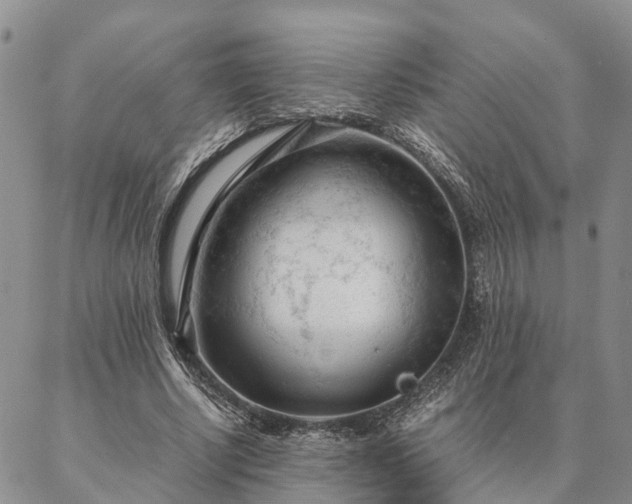 X0000087390634200704271623