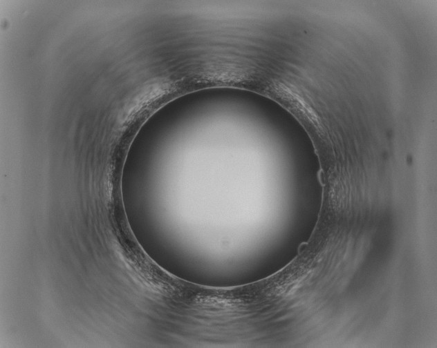 X0000087390635200704271623