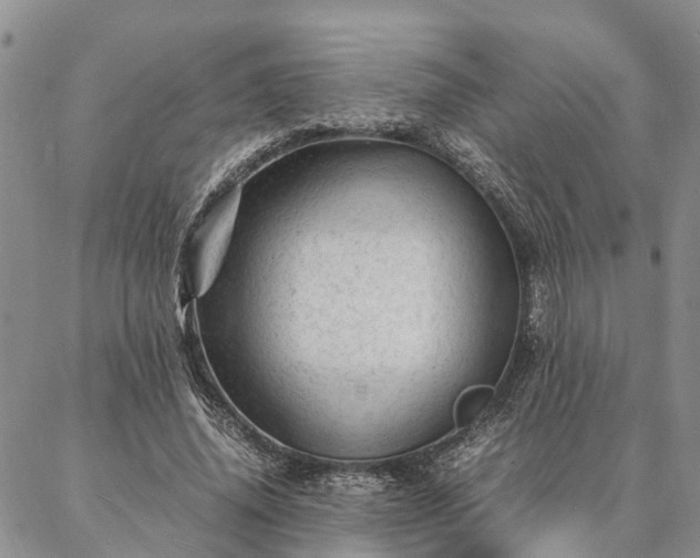 X0000087390636200704271623