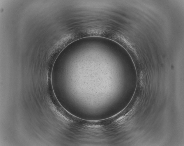 X0000087390637200704271623