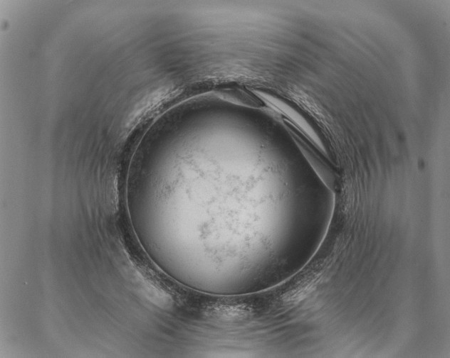 X0000087390638200704271623