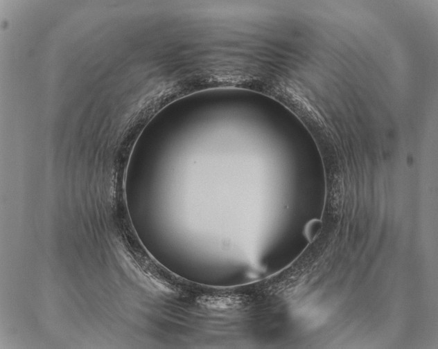 X0000087390639200704271623