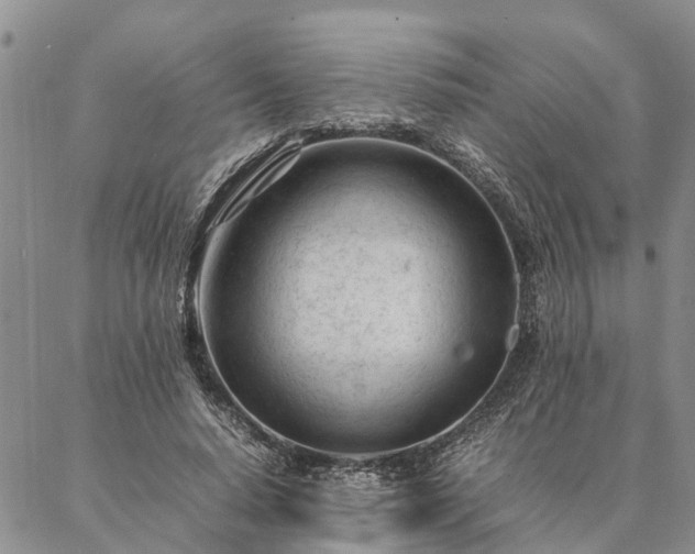 X0000087390640200704271623