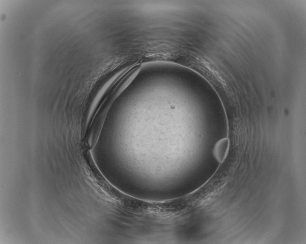 X0000087390641200704271623