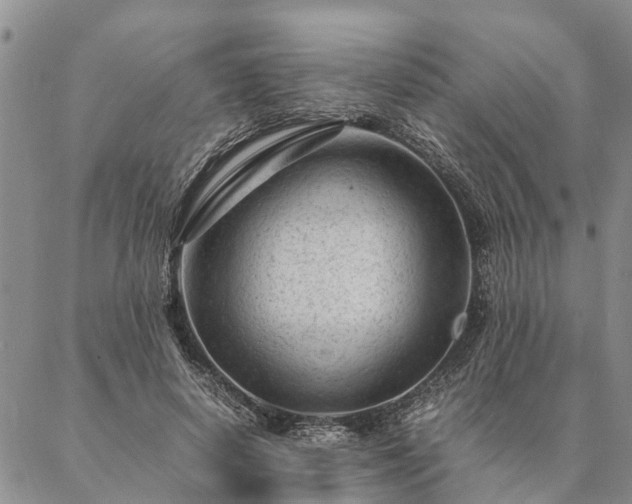 X0000087390642200704271623