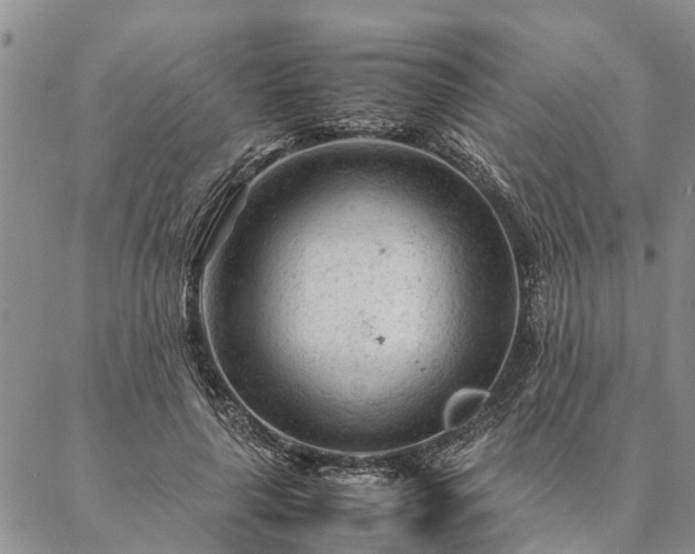 X0000087390643200704271623