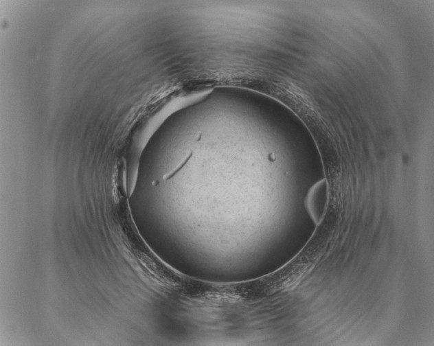 X0000087390644200704271623