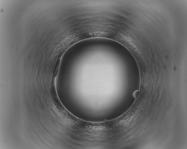 X0000087390645200704271623