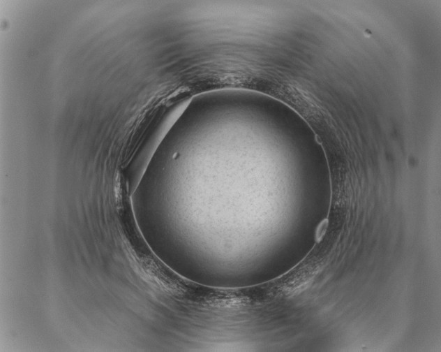 X0000087390646200704271623