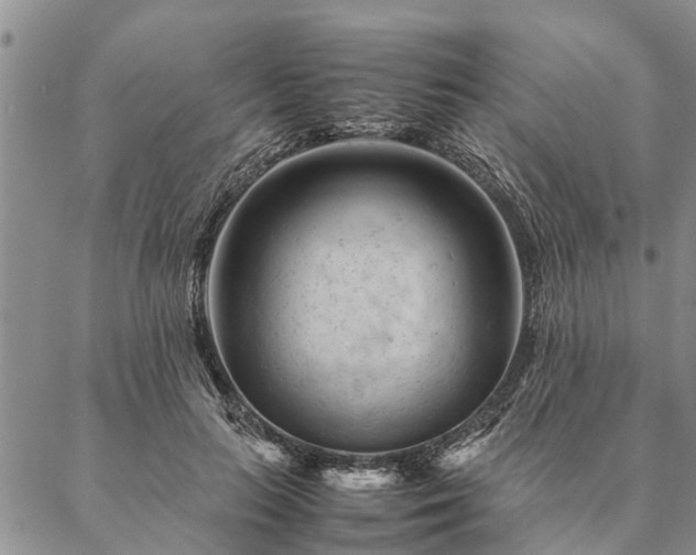 X0000087390647200704271623