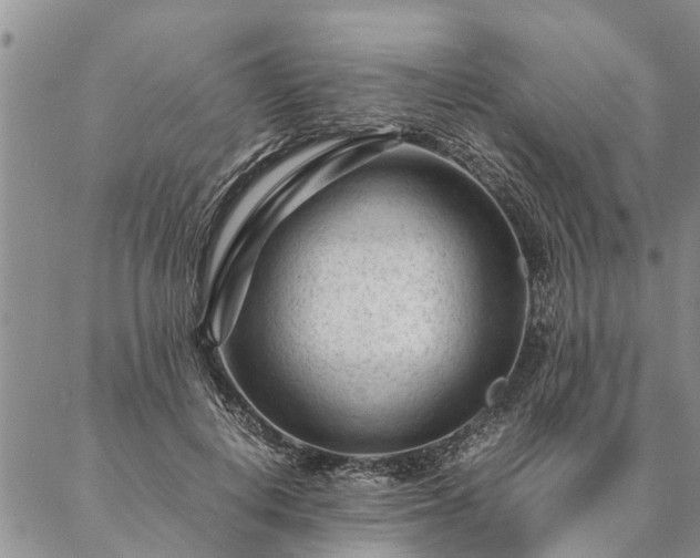 X0000087390648200704271623