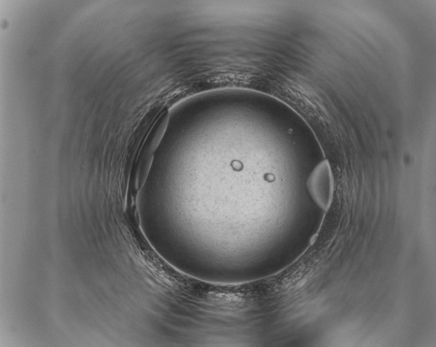 X0000087390649200704271623